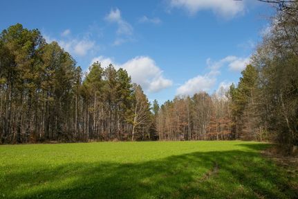 Timberland Property for sale in Choctaw County, Mississippi