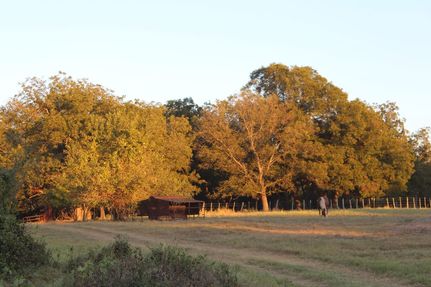 Farm Property for sale in Coryell County, Texas