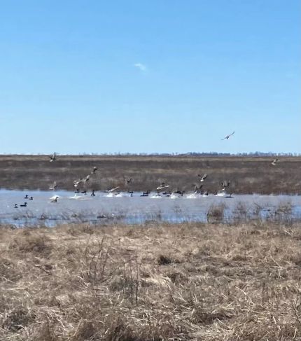 Recreational Property for sale in New Madrid County, Missouri