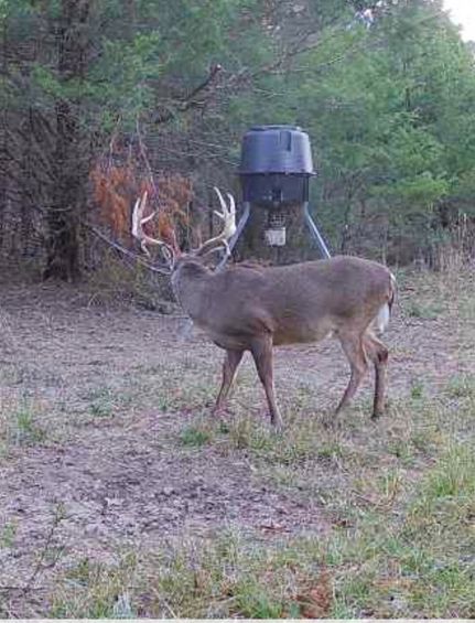 Farm Property for sale in Montgomery County, Alabama