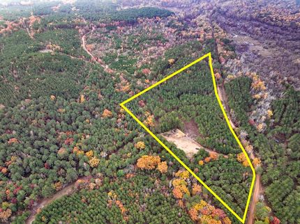 Hunting Land for sale in Cass County, Texas