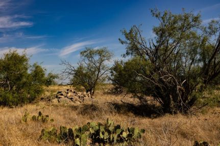 Ranch Property for sale in Callahan County, Texas