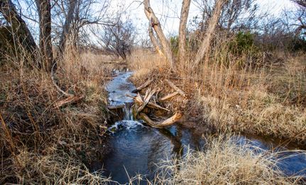 Hunting Land for sale in Knox County, Texas