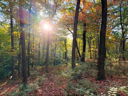 Hunting Land for sale in Peoria County, Illinois