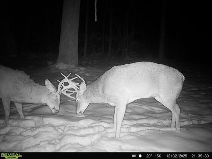 Hunting Land for sale in Cass County, Illinois