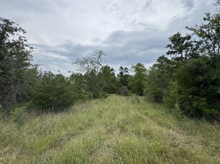 Hunting Land for sale in Walker County, Texas