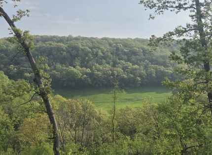 Property for sale in Buffalo County, Wisconsin