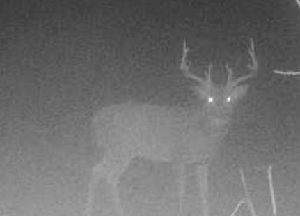 Farm Property for sale in Cumberland County, Illinois