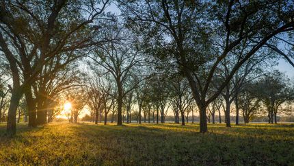 Ranch Property for sale in Williamson County, Texas