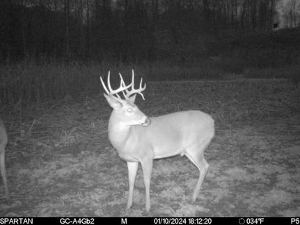 Farm Property in Parke County, Indiana