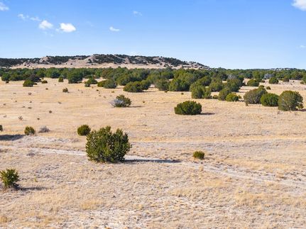 Undeveloped Land for sale in Las Animas County, Colorado