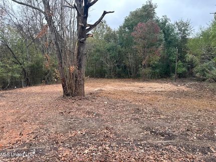 Property for sale in Hinds County, Mississippi