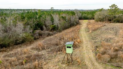 Property for sale in Telfair County, Georgia