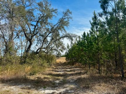 Recreational Property for sale in Madison County, Florida