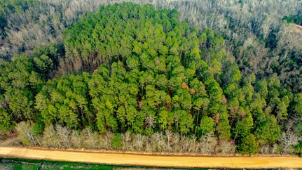 Property for sale in Telfair County, Georgia