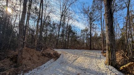 Timberland Property for sale in Saint Francois County, Missouri