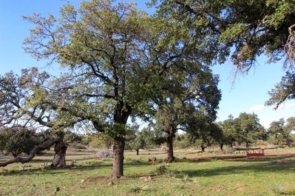 Farm Property for sale in Gillespie County, Texas