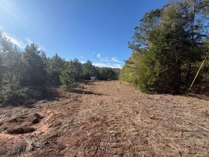 Hunting Land for sale in Covington County, Alabama