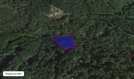 Undeveloped Land for sale in Page County, Virginia