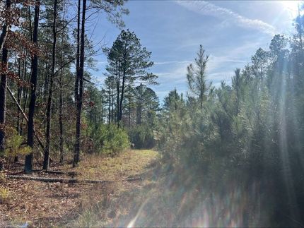 Timberland Property for sale in Cleveland County, Arkansas