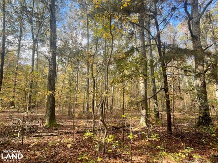 Property for sale in Montgomery County, Alabama