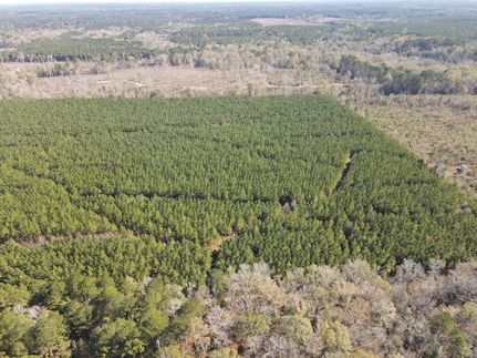Undeveloped Land for sale in Union County, Arkansas