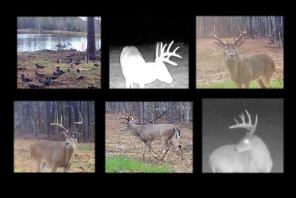 Property for sale in Madison County, Mississippi