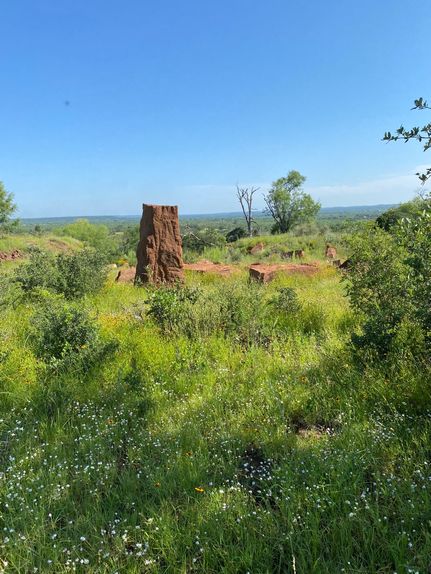 Timberland Property for sale in Mason County, Texas