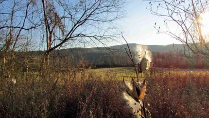 Recreational Property for sale in Schoharie County, New York