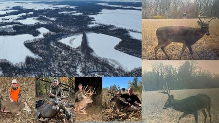 Hunting Land for sale in Coles County, Illinois