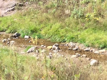 Undeveloped Land for sale in Lincoln County, New Mexico