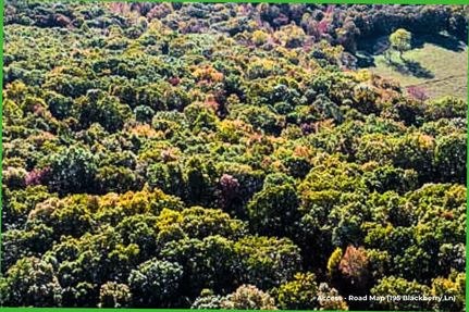 Undeveloped Land for sale in Bledsoe County, Tennessee