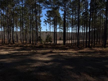 Ranch Property for sale in Lee County, Alabama