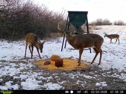 Undeveloped Land for sale in Osage County, Kansas