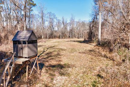 Hunting Land for sale in East Feliciana Parish, Louisiana