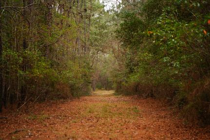 Ranch Property for sale in Hardin County, Texas