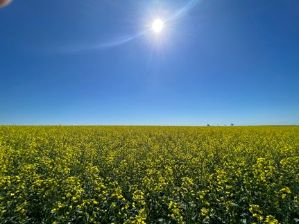 Property for sale in Ward County, North Dakota