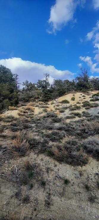 Recreational Property for sale in Esmeralda County, Nevada