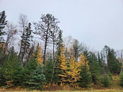 Undeveloped Land for sale in Price County, Wisconsin