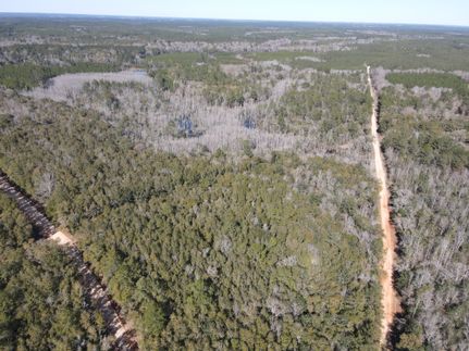 Hunting Land for sale in Covington County, Alabama