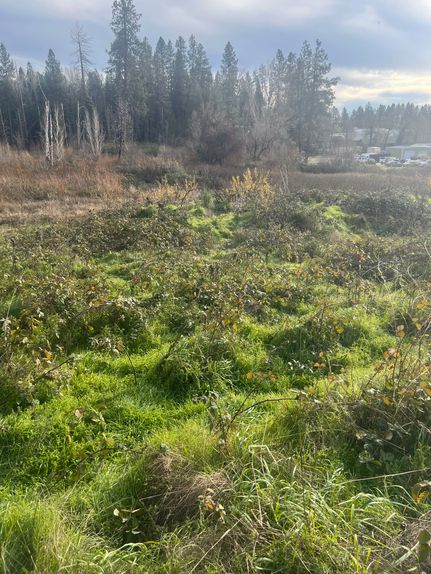 Ranch Property for sale in Nevada County, California