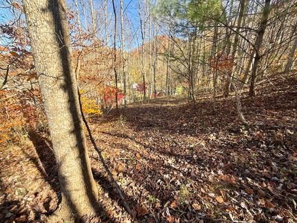 Hunting Land for sale in Carter County, Tennessee