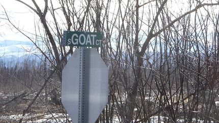 Undeveloped Land for sale in Matanuska-Susitna Borough, Alaska