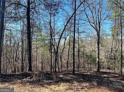 Property for sale in Lumpkin County, Georgia