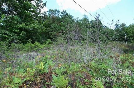 Property for sale in McDowell County, North Carolina