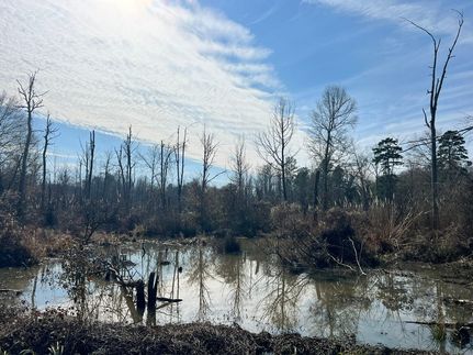 Timberland Property for sale in Scott County, Mississippi