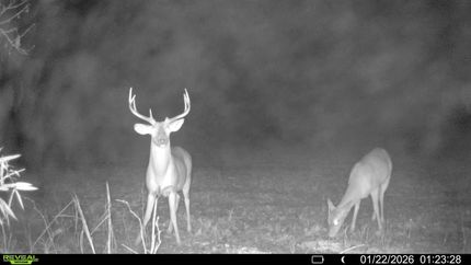 Farm Property for sale in Saint Francis County, Arkansas