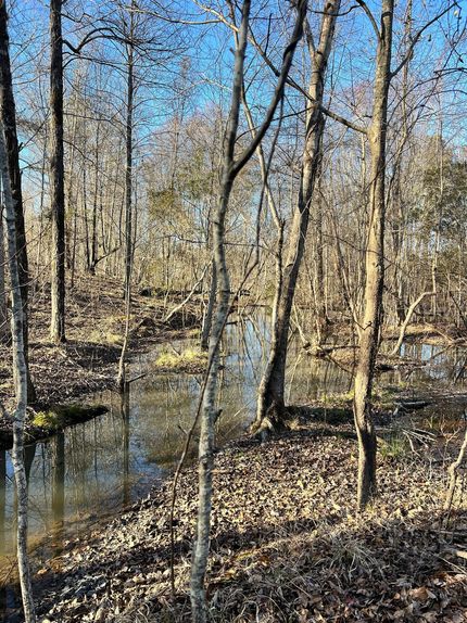 Timberland Property for sale in Greene County, Georgia