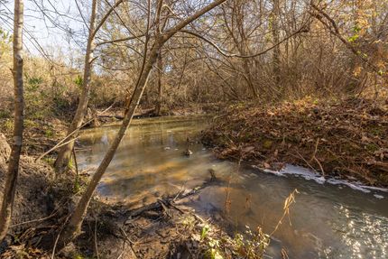 Property for sale in Wilcox County, Georgia