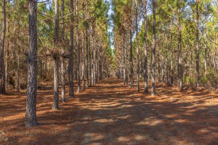 Ranch Property for sale in Wilcox County, Georgia